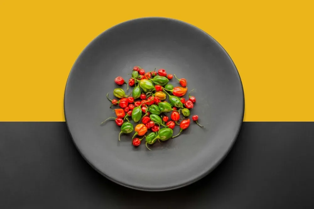 اپلیکیشن Instagram Edits 