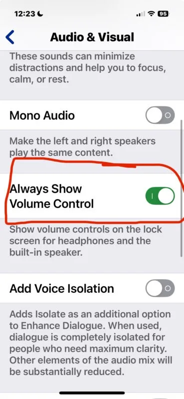 به دنبال گزینه‌ای با عنوان «Always Show Volume Control» (نمایش همیشگی کنترل صدا) بگردید و آن را فعال (ON) کنید