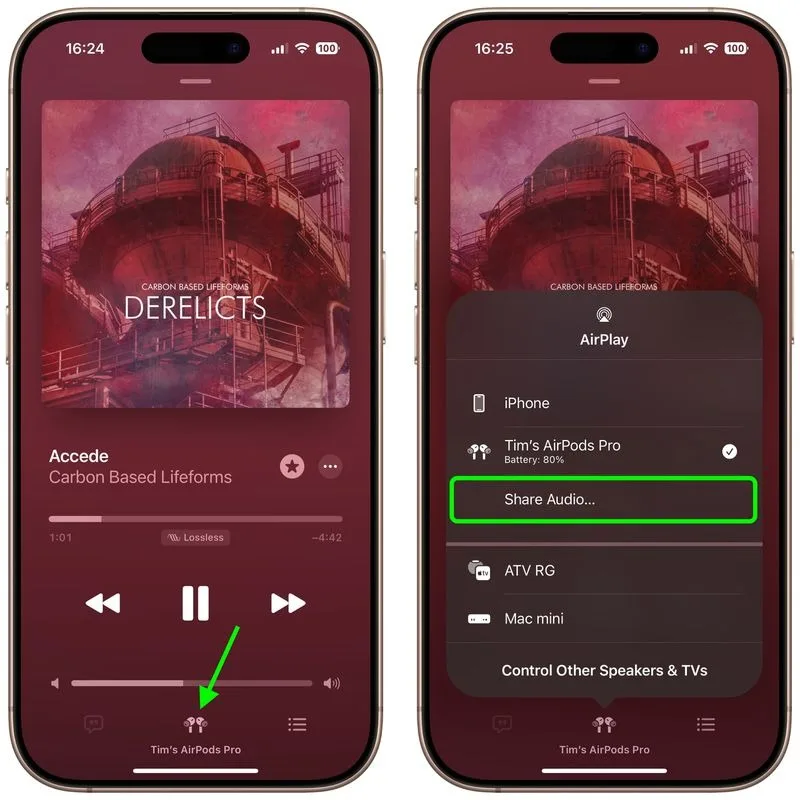 «Share Audio…»